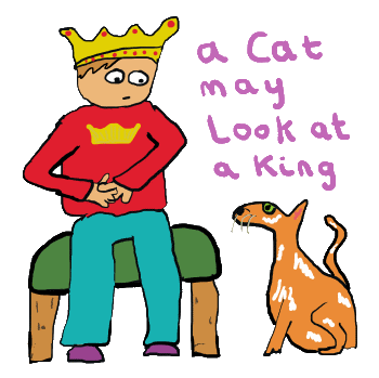 This funny cat expression 