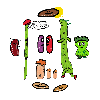 Seven bean puns in one colourful and fun drawing! From French to runner plus baked, chilli, coffee, kidney and broad - a selection of the finest bean puns for cooks, chefs, kids, people who like puns and so on. Delicious!