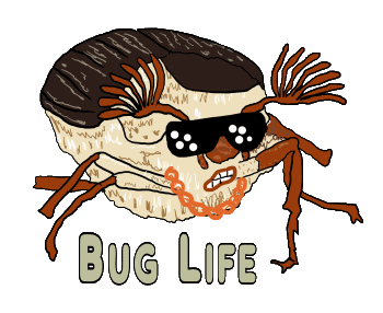 Bug Life is a fun design for fans of insects, or entomophiles.  Features a tough looking bug with shades and gold chain.