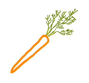 A fun outline drawing of a single carrot with typical orange body and green foliage. For fans of carrots - humans AND rabbits!