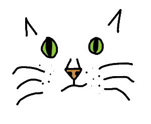 Cat face design - eyes, nose, whiskers
