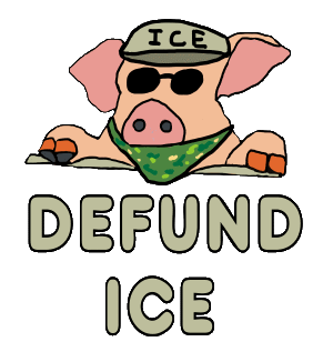 Defund ICE shows a US Immigration and Customs Enforcement Officer wearing hat, shades and mask with the words 