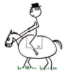 Dressage horse and rider