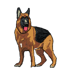 German Shepherd or Alsatian graphic