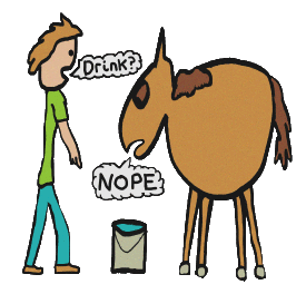 Horse to water cartoon
