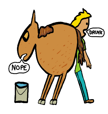 Humorous Lead A Horse To Water design features the old proverb illustrated by a farmer encouraging his horse to take a drink.  The horse eyes the water and says 