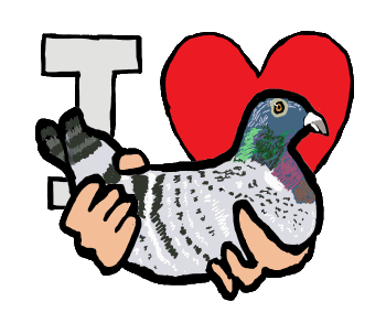  For pigeon keepers, breeders and fanciers - a fun 