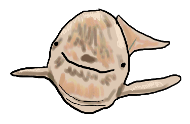 A hand drawn cartoon style picture of a porpoise