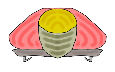 Skeleton racer lies face forward on bobsled