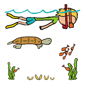 Snorkel design features a keen snorkeler using basic equipment (snorkel, goggles, flippers) to cruise underwater looking at the wildlife. Includes a turtle, some fish, clams and seaweed - all in a stick figure style graphic for snorkeling fun.