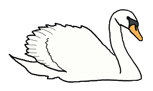 Swan shows a typical swan swanning around on the water with wings raised in the beautiful confident way they do.  A majestic, graceful and mostly peaceful bird.