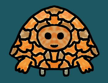 An electronic turtle delivered as part of a network installation