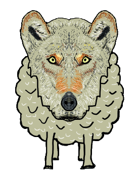 A Wolf in Sheep's Clothing stares out at the viewer. A mixed message kind of image, soft gentle sheep with the menace of a wolf. Proceed with caution.